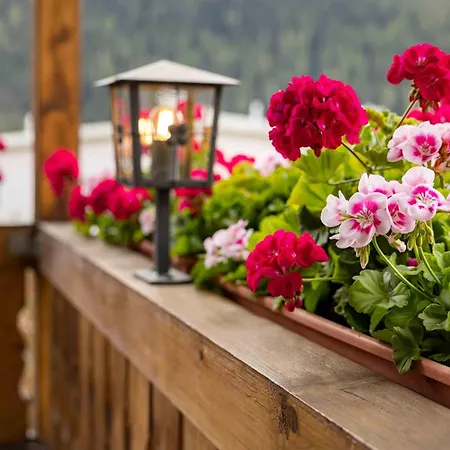 Garni Alpenrose - Grusaida