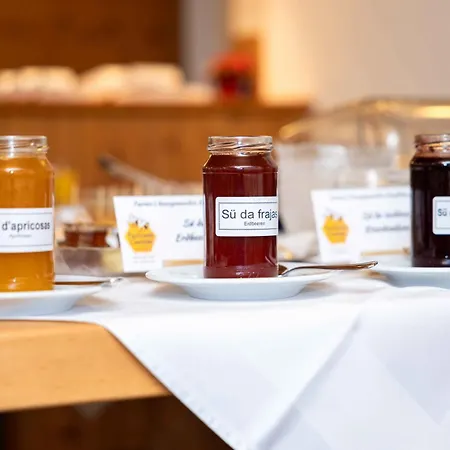 Garni Alpenrose - Grusaida 2* Scuol