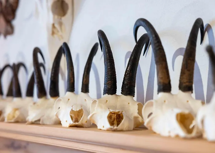 Garni Alpenrose - Grusaida 2*