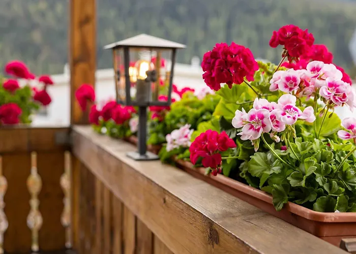 Garni Alpenrose - Grusaida