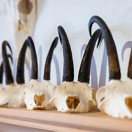 加尼奥朋洛斯-格鲁赛达比in管 2*